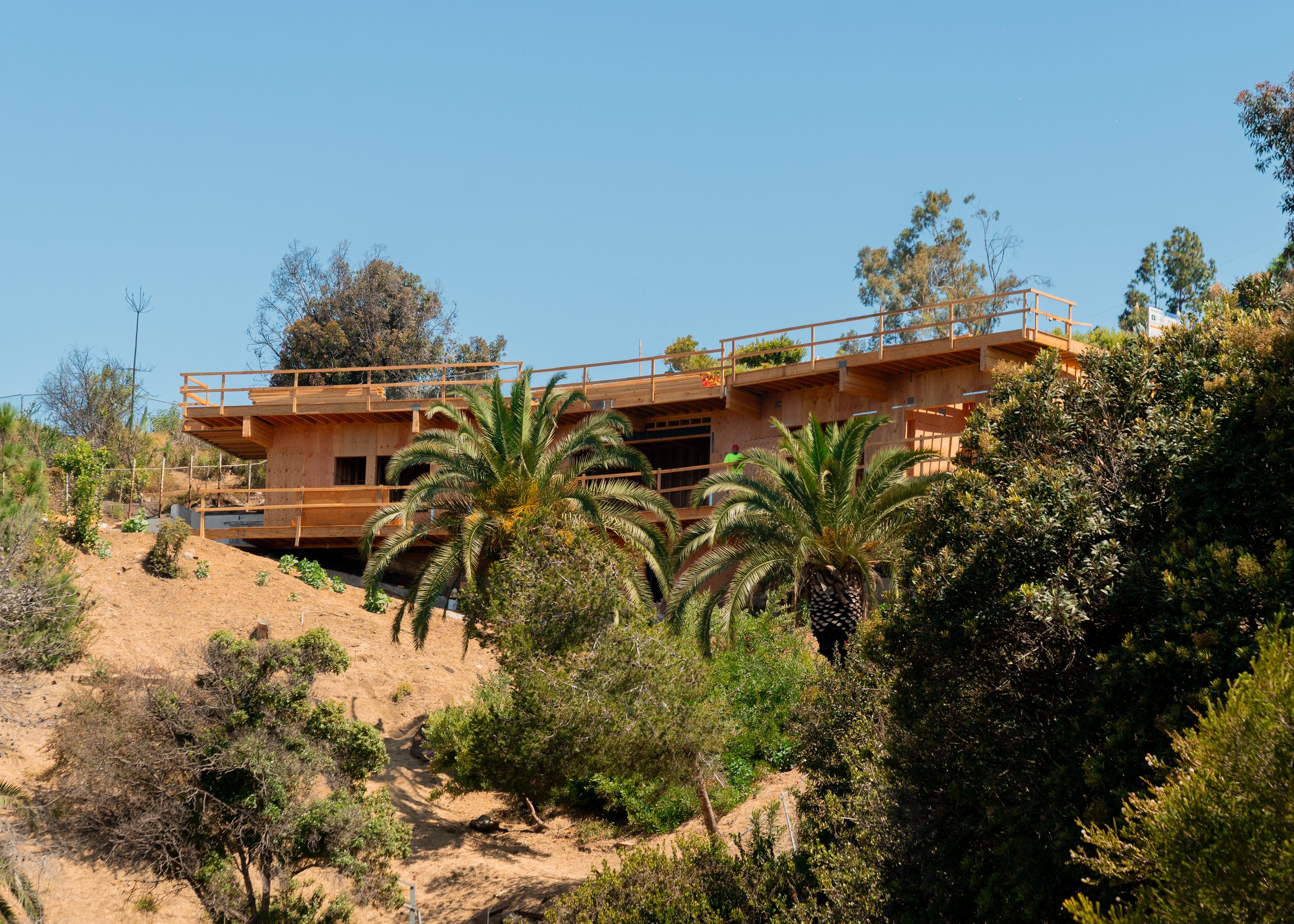 A Pacific Palisades hillside home taking shape, framing seen through palms